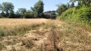 Terreno Agricolo in vendita a Grottammare in strada comunale montesecco - 09, Foto 9