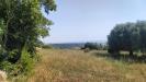Terreno Agricolo in vendita a Grottammare in contrada magazzini - 02, Foto 2