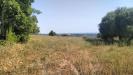 Terreno Agricolo in vendita a Grottammare in contrada magazzini - 03, Foto 3