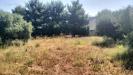 Terreno Agricolo in vendita a Grottammare in contrada magazzini - 05, Foto 5