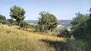 Terreno Agricolo in vendita a Grottammare in contrada magazzini - 06, Foto 6