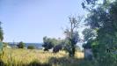 Terreno Agricolo in vendita a Grottammare in contrada magazzini - 08, Foto 8