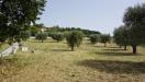Terreno Edificabile in vendita a Grottammare in via cuprense - 09, Foto 9