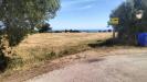 Terreno Agricolo in vendita a Grottammare in contrada monti - 03, Foto 3