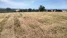 Terreno Agricolo in vendita a Grottammare in contrada monti - 07, Foto 7