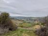 Rustico in vendita da ristrutturare a Ripatransone - 04, Foto 4