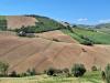 Terreno in vendita a Ripatransone - collinare - 04