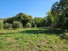 Terreno in vendita a Cupra Marittima - collinare (al di sopra della statale 16) - 03