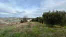 Terreno Agricolo in vendita a Ripatransone in strada provinciale 142 - 04, Foto 4