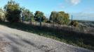 Terreno Agricolo in vendita a Grottammare in contrada magazzini - 03, Foto 3