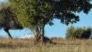 Terreno Agricolo in vendita a Grottammare in contrada magazzini - 06, Foto 6
