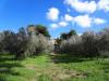 Rustico in vendita con giardino a Appignano del Tronto - 03, Foto 3