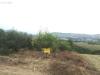 Terreno Agricolo in vendita a Appignano del Tronto - 03, Foto 3