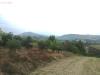 Terreno Agricolo in vendita a Appignano del Tronto - 05, Foto 5