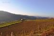 Terreno Agricolo in vendita a Ripatransone - 02, Foto 2