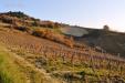 Terreno Agricolo in vendita a Ripatransone - 04, Foto 4