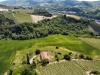 Terreno Agricolo in vendita a Ripatransone in contrada pezzalunga snc - 05, Foto 5
