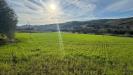 Terreno Agricolo in vendita a Ripatransone in contrada tesino snc - 05, Foto 5