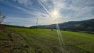 Terreno Agricolo in vendita a Ripatransone in contrada tesino snc - 08, Foto 8