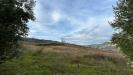 Terreno Agricolo in vendita a Ripatransone in strada provinciale 142 - 06, Foto 6