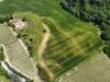 Terreno Agricolo in vendita a Ripatransone in contrada pezzalunga snc - 10, Foto 10