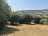 Terreno Agricolo in vendita a San Benedetto del Tronto in colle euganei snc - 02, Foto 2