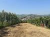 Terreno Agricolo in vendita a San Benedetto del Tronto in colle euganei snc - 04, Foto 4