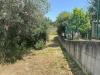 Terreno Agricolo in vendita a San Benedetto del Tronto in colle euganei snc - 06, Foto 6