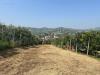 Terreno Agricolo in vendita a San Benedetto del Tronto in colle euganei snc - 07, Foto 7