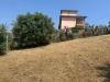 Terreno Agricolo in vendita a San Benedetto del Tronto in colle euganei snc - 09, Foto 9