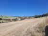 Terreno Agricolo in vendita a Offida in via delle tamerici snc - 03, Foto 3