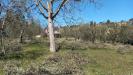 Terreno Edificabile in vendita a Colli del Tronto in via villa morganti - 02, Foto 2