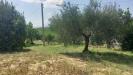 Rustico in vendita con giardino a Offida in contrada lava - 03, Foto 3