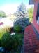 Villa in vendita con giardino a Trofarello - 10, 20260427_171216.jpg