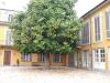 Villa in vendita con giardino a Moncalieri in strada santa brigida 5 - 09, Foto 9