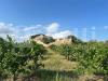 Villa in vendita con giardino a Noto - 10, 17.jpg