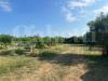 Villa in vendita con giardino a Noto - 08, 12.1.jpg