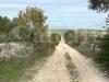 Terreno Agricolo in vendita a Noto - 02, 1.jpg