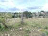 Terreno Agricolo in vendita a Noto - 06, 5.jpg