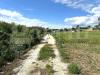 Terreno Agricolo in vendita a Avola - 07, 12.jpeg