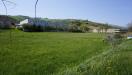 Terreno in vendita a Controguerra - industriale (bonifica del tronto) - 04