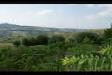 Rustico in vendita a Monteprandone in contrada solagna ragnola 13 - 02, panorama