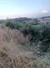 Terreno Agricolo in vendita a Tortoreto in via dell'acquedotto snc - 08, Foto 8