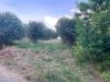 Terreno Agricolo in vendita a Tortoreto in via dell'acquedotto snc - 09, Foto 9