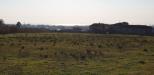 Terreno Agricolo in vendita a Salerno - 09, 19.jpg