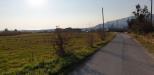 Terreno Agricolo in vendita a Salerno - 05, 15.jpg