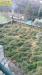 Casa indipendente in vendita con giardino a Faggeto Lario in strada provinciale 43 - 06, Foto 6