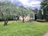 Villa in vendita a Pietrasanta - marina di - 04