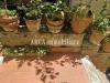 Casa indipendente in vendita a Pietrasanta - centro storico - 05