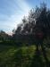 Terreno Agricolo in vendita a Grosseto - 10, 18.jpg